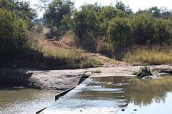 Mziki Safari Park